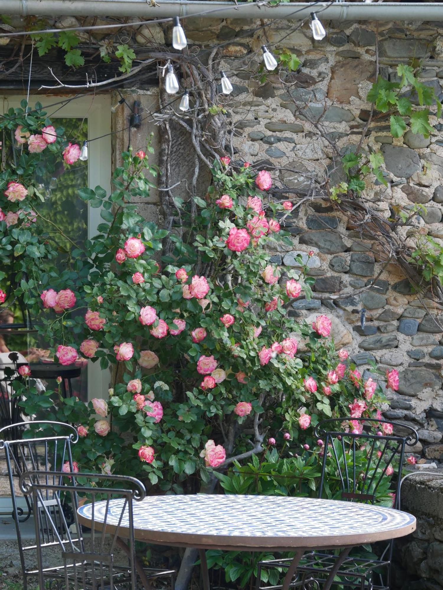 Les Jardins De Lumiere Bed and Breakfast Brusque Eksteriør billede