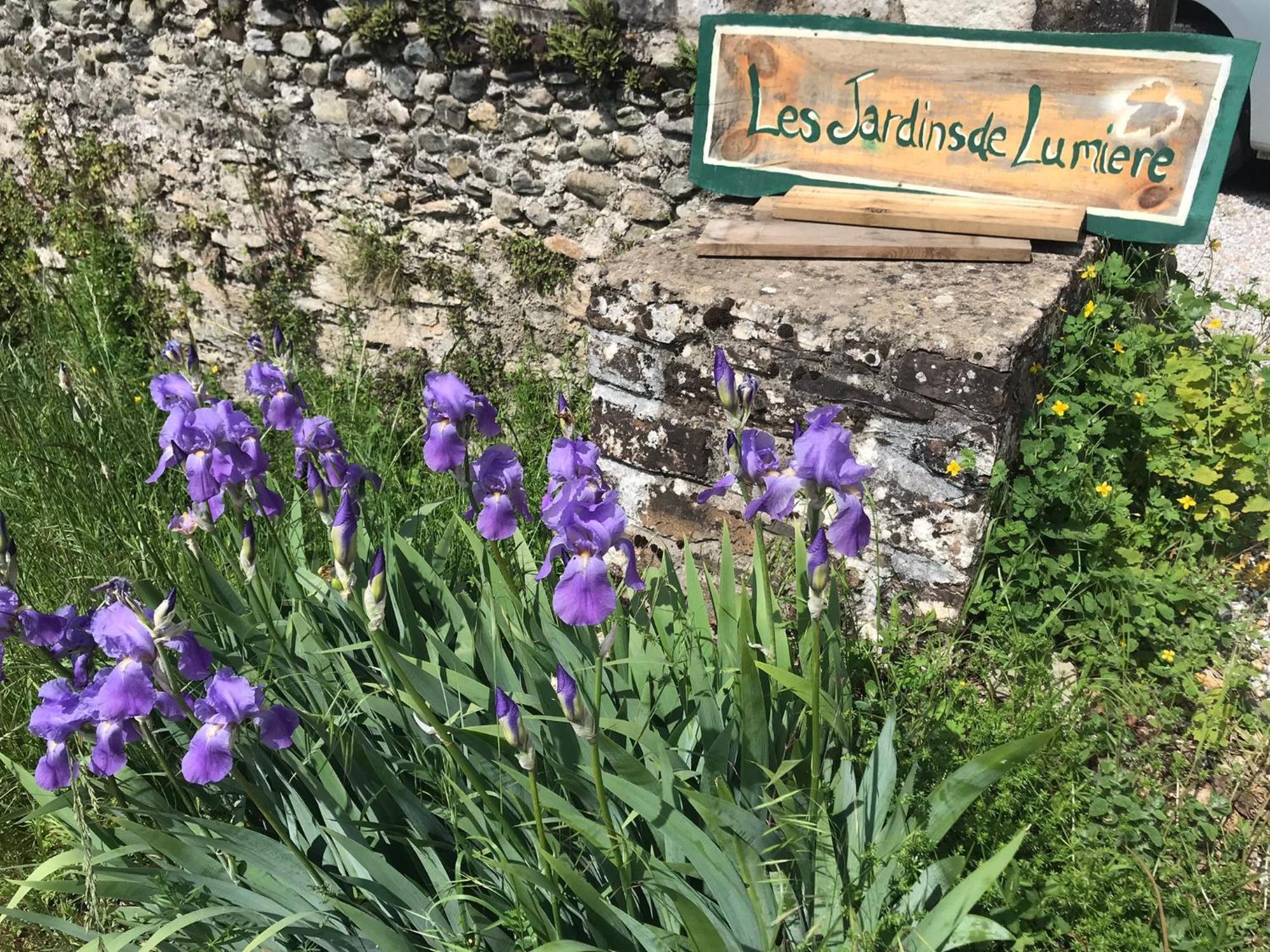 Les Jardins De Lumiere Bed and Breakfast Brusque Eksteriør billede